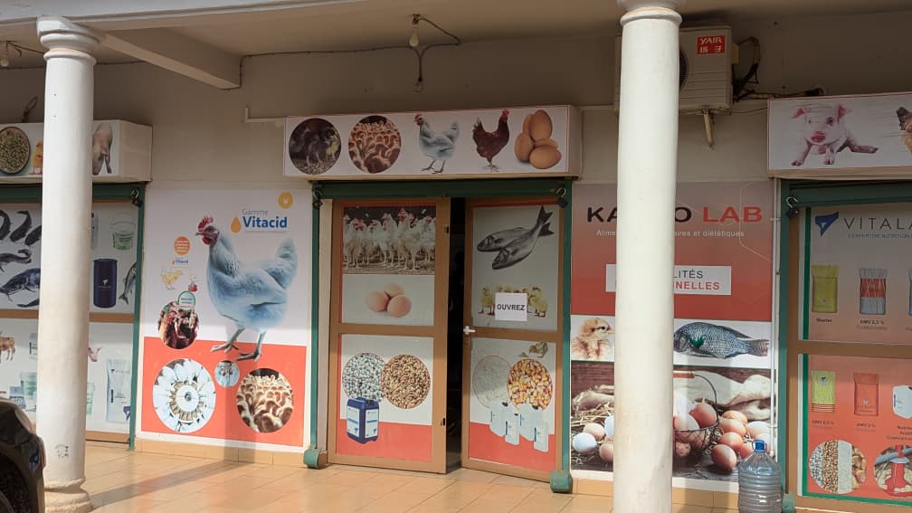 WhatsApp Image 2026-02-25 at 15.35.25